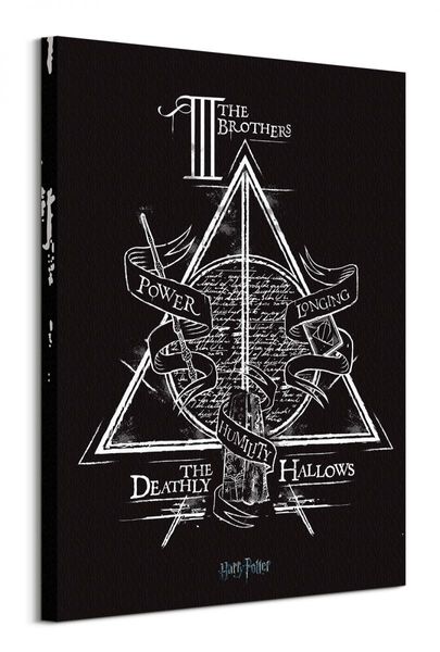 Harry Potter Deathly Hallows - obraz na płótnie 60x80 cm zdjęcie 1