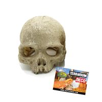 Reptile Nova Dekoracja do terrarium 11x14cm