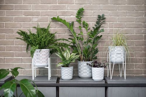 ZESTAW 3 DONICZEK AZTEK śr. 19,5cm CZARNY/ZŁOTY Lamela na Arena.pl