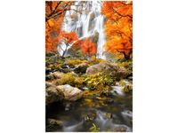 product-compare-58703414