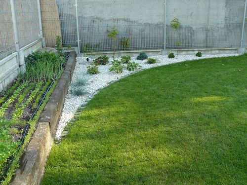 Nawóz do trawy SZYBKI EFEKT 10 kg Florovit na Arena.pl