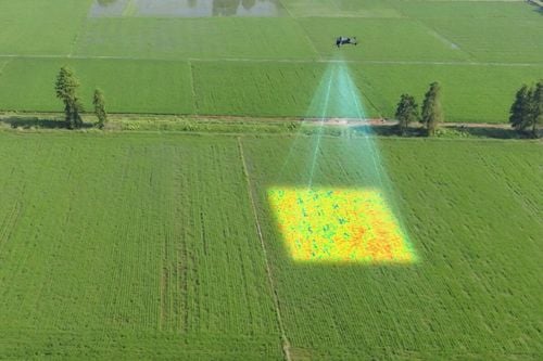 Dron DJI Mavic 3 Multispectral C2 + DJI Care 1 rok na Arena.pl