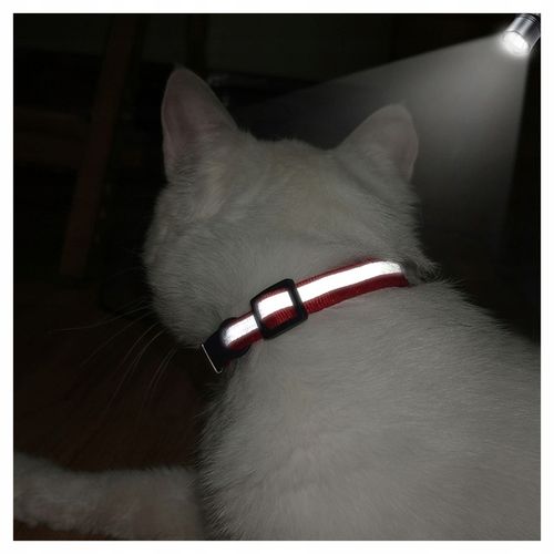 Odblaskowa Obroża Kota Psa dzwonek + Identyfikator na Arena.pl