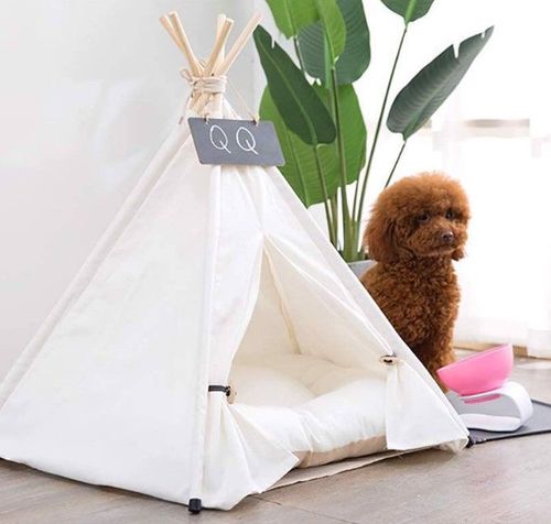 Namiot Tipi Dla Psa/Kota 60X60X70Cm Z Legowiskiem na Arena.pl