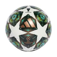 Piłka nożna adidas UCL Pro Sala 24/25 JH1294 FUTS