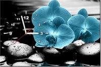 product-compare-58615920