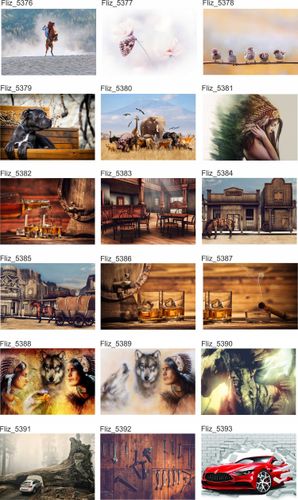 Fototapeta ŻYRAFA POCIĄG ROWEREK ZOO 390x280 na Arena.pl