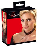 collar and leash