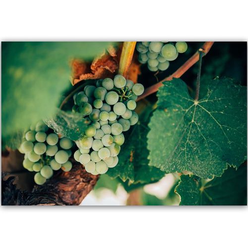 Deco Panel, Zielone winogrona 60x40 na Arena.pl