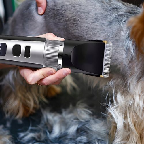 MASZYNKA DO STRZYŻENIA PSA ZWIERZĄT ZESTAW PSÓW BEZPRZEWODOWA CICHA LCD 9W na Arena.pl