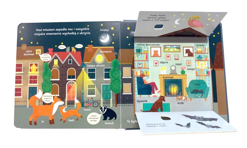 Zajrzyj tu. Miasto zdjęcie 3