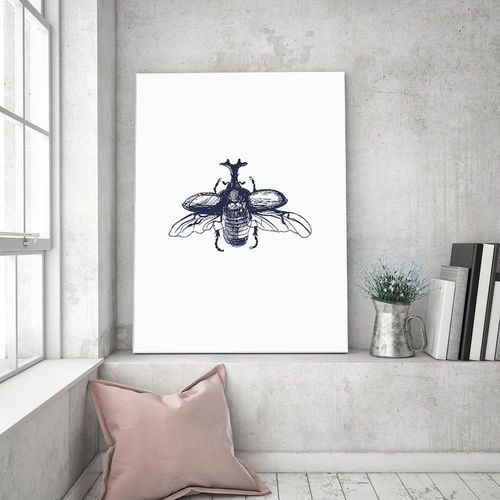 Obraz na płótnie – Canvas, lecący żuk 40x60 na Arena.pl