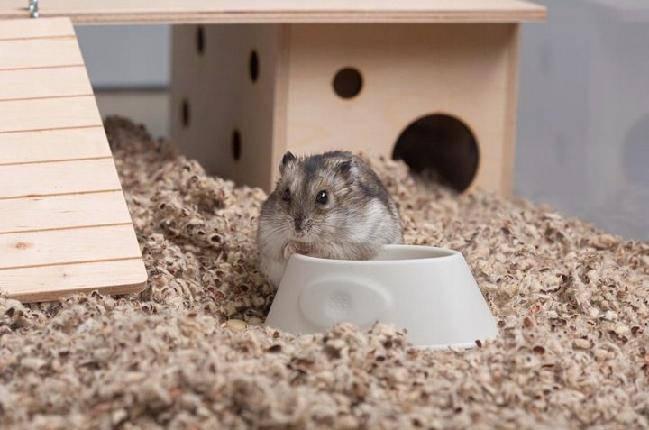 COMFY COTTON BEDDING PODŁOŻE BAWEŁNIANE 10L zdjęcie 8