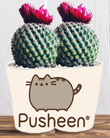 Doniczka do kwiatów/roślin - Pusheen - Kotek