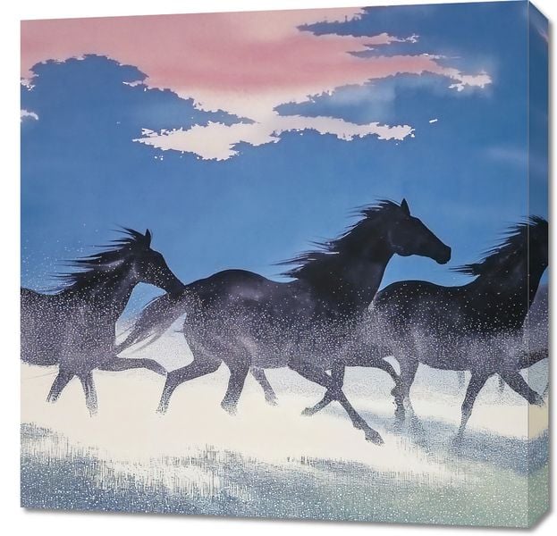 Obraz 70x70cm Wolność i Swoboda zdjęcie 1