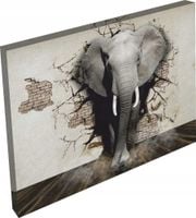 OBRAZ na płótnie zwierzęta słoń dziura 120x80