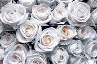 Tło FLAT LAY do fotografii produktowej kulinarnej