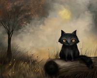 Plakat 50x40cm Czarny Kot