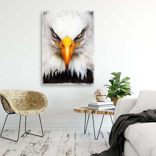 Obraz na płótnie – Canvas, Orzeł bielik 40x60 na Arena.pl