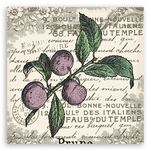 Emaga Obraz na płótnie, Śliwka vintage - 40x40 na Arena.pl