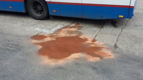 SORBENT benzyna olej smary farby - ponad 40 Litrów na Arena.pl