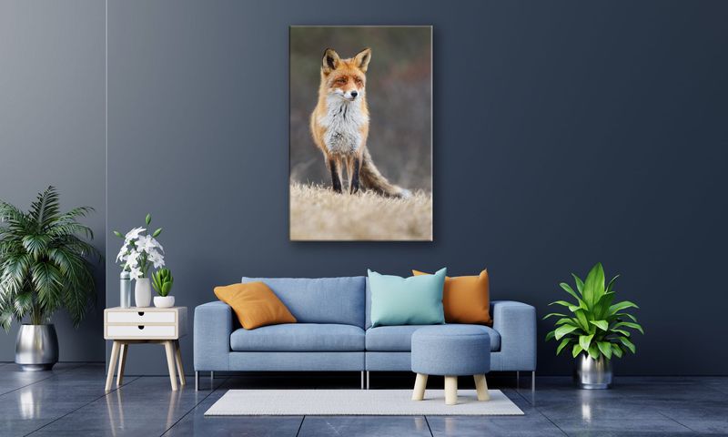OBRAZ NA PŁÓTNIE 121 Lis 60x90cm zdjęcie 4