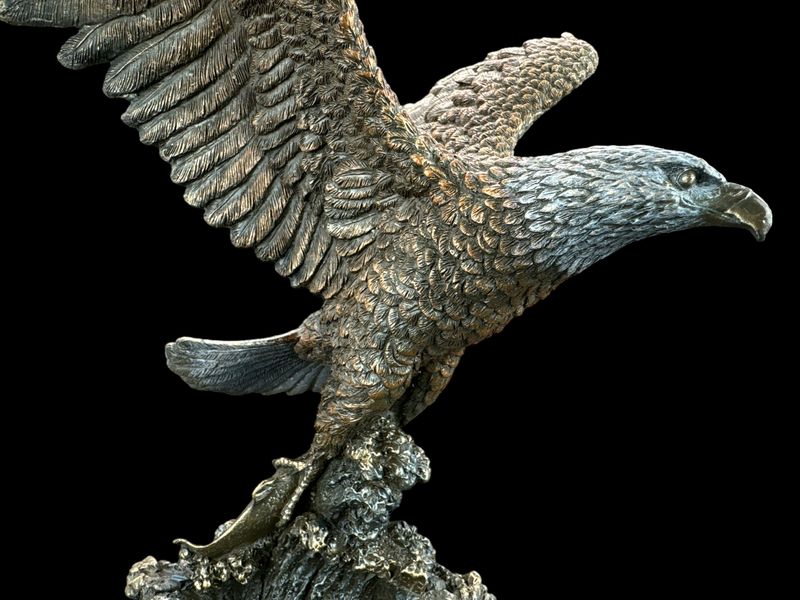 BIELIK AMERYKAŃSKI ŁAPIĄCY RYBĘ VERONESE WU75227A4 zdjęcie 4