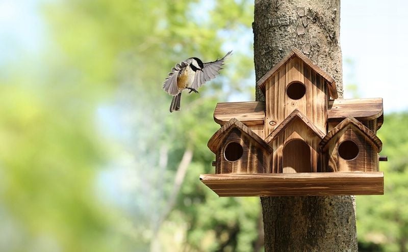 Mega DOMEK DLA PTAKÓW BUDKA LĘGOWA Apartament WILLA KARMNIK DREWNIANY XXL zdjęcie 7