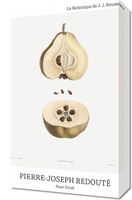 Obraz 30x50cm Design Pear Fruit, Redoute Vintage do Salonu