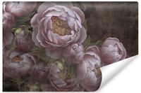 Fototapeta Do Salonu KWIATY Peonie Abstrakcja Styl Vintage 405cm x 270cm