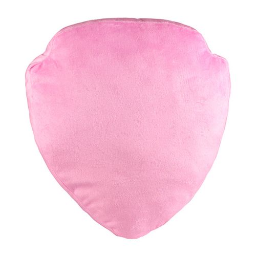 Poduszka Skye z Psiego Patrolu na Arena.pl