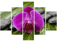 70 100CM OBRAZ 5 ELEM PORANNA ROSA DRUK PŁÓTNO