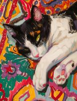 product-compare-59407761