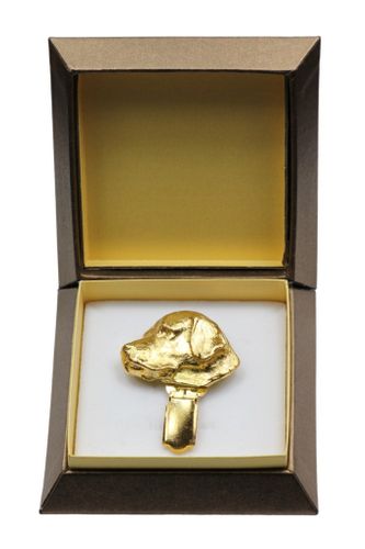 Labrador Retriever - klips - 2615 na Arena.pl