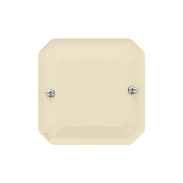 Nowe Plexo - Zaślepka piaskowa - Legrand 069847L zdjęcie 2