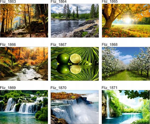 FOTOTAPETA KRAJOBRAZ KORONY DRZEW LAS SŁOŃCE na Arena.pl