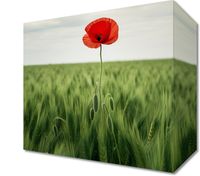 product-compare-59477110