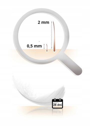 DEPILATOR BRAUN Silk-epil 9 DELUXE FACE PACK Wet&Dry+ GOLARKA + DODATKI 4w1 na Arena.pl