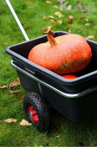 Wózek OGRODOWY transportowy dwukołowy Taczka 135L na Arena.pl