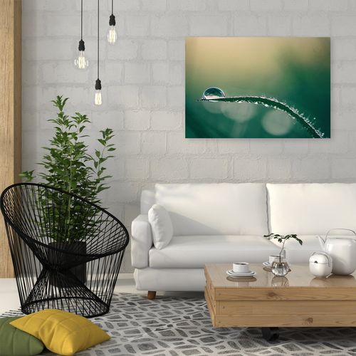 Deco Panel, Poranna rosa 90x60 na Arena.pl
