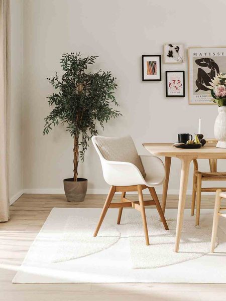 RUG/BENUT/ISLA/CREAM/120x170 zdjęcie 2