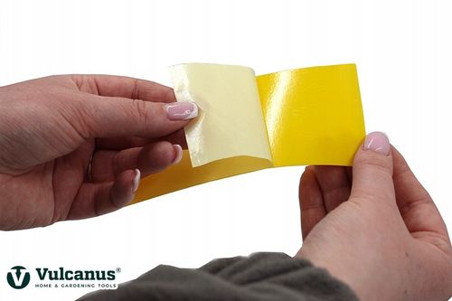 40x Lep Do Doniczek Żółty Na Mszyce Ziemiórki Owady Szkodniki Lepy na Arena.pl