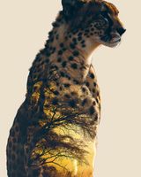 Plakat 40x50cm Gepard Duch Sawanny