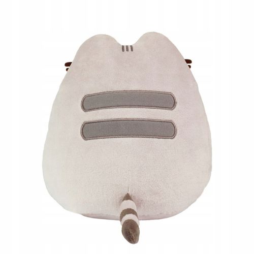 Aurora Pusheen pizza na Arena.pl