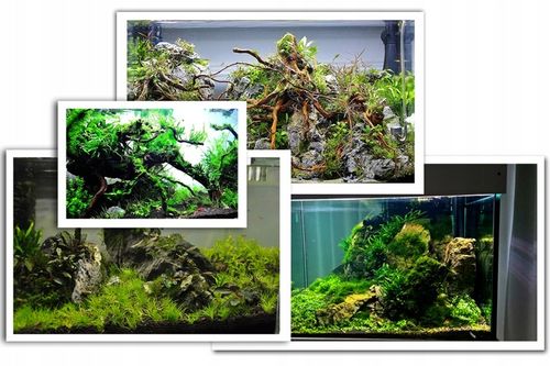 ZOOLEK TEST PO4 DO POMIARU FOSFORANU na Arena.pl