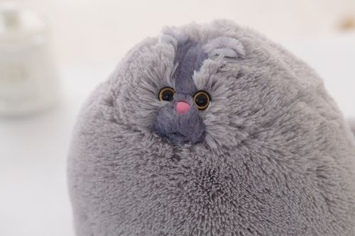 Gruby kot pluszowa poduszka zabawka-30cm cztery kolory na Arena.pl