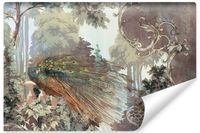 product-compare-54641064