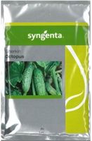 OGÓREK OCTOPUS 500n ST NASIONA HOLENDERSKIE