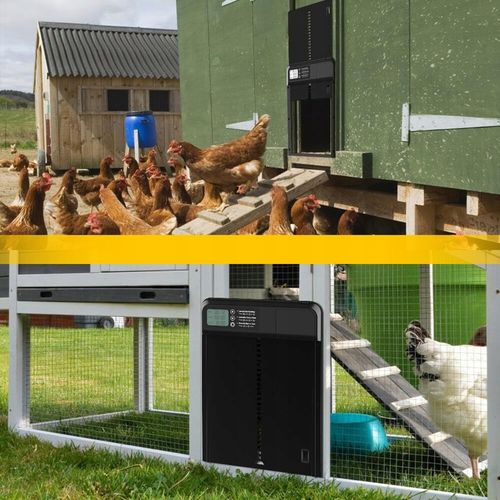 AUTOMATYCZNE DRZWI DO KURNIKA OTWIERANIE DRZWI Z TIMEREM METALOWE CZUJNIK na Arena.pl