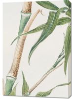 Obraz 70x100cm Bamboo, Morikaga Japoński Vintage do Salonu